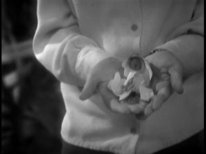 Close up on Susan’s hands. She’s holding a crushed petrified flower.